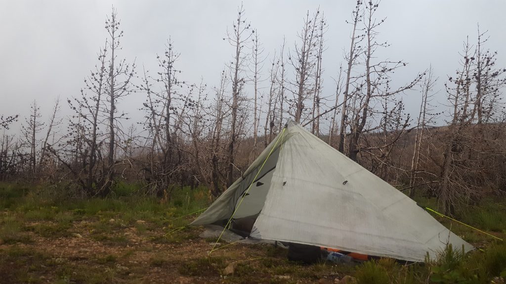 Zpacks Solplex Review